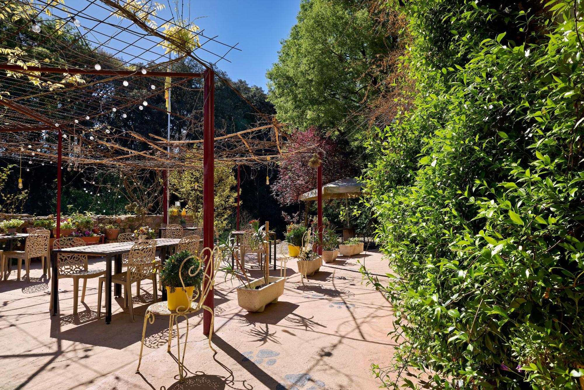 B&B Mas Torrencito Pet Friendly Parets de Ampurdá Exterior foto